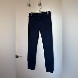 Vince Skinny Blue Pants